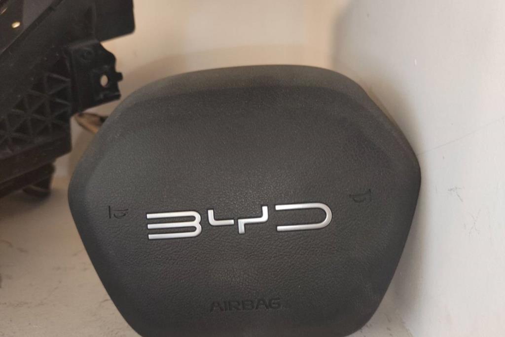 Cabin  Steering Wheel BYD Destroyer 05