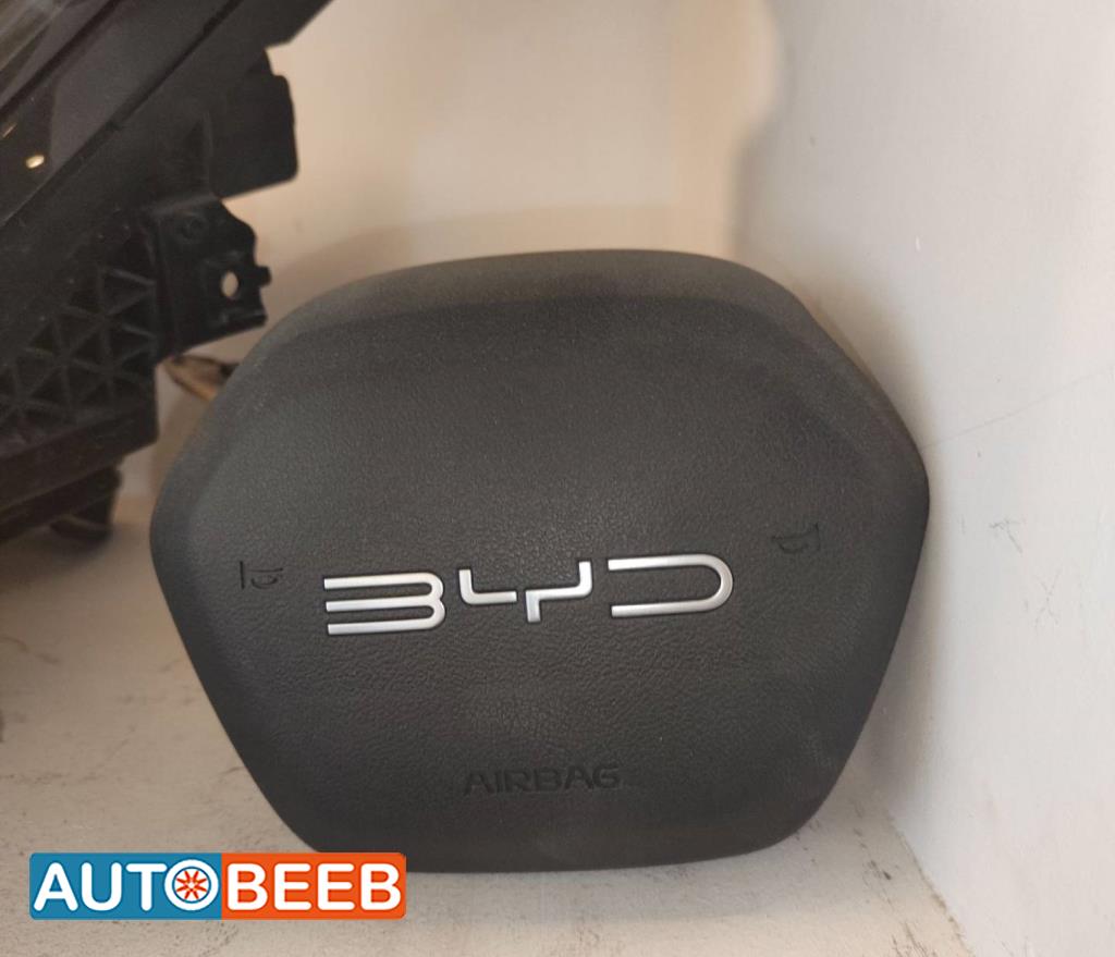Cabin  Steering Wheel BYD Destroyer 05
