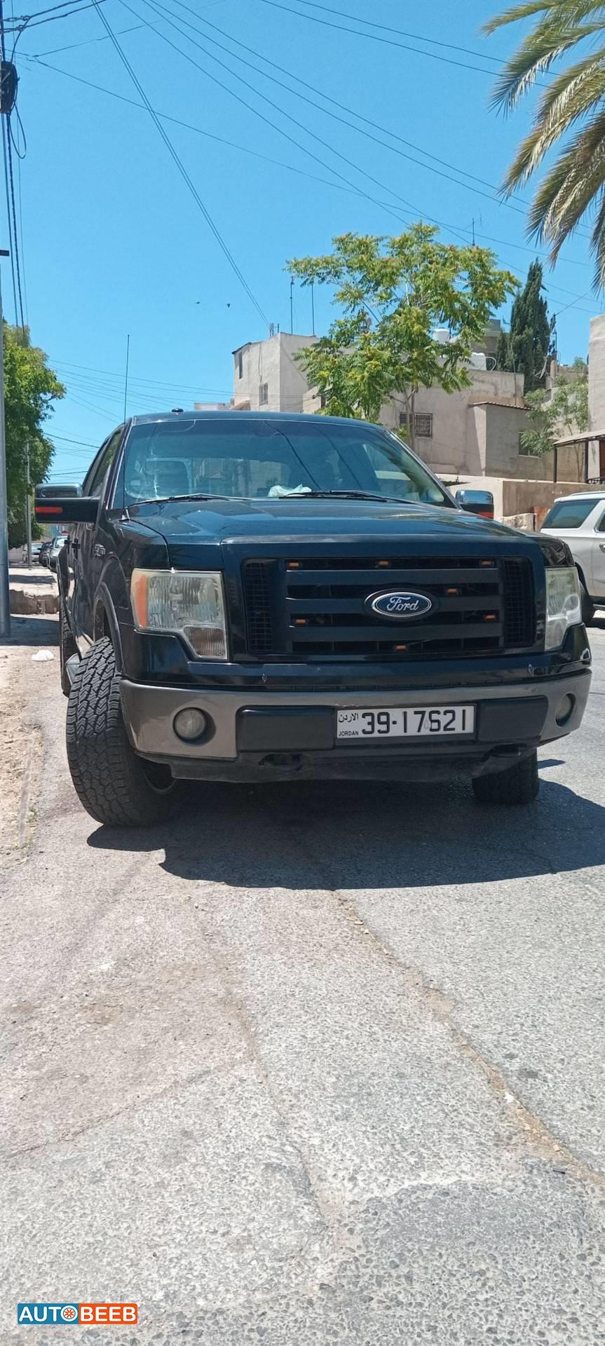فورد F-100 2009