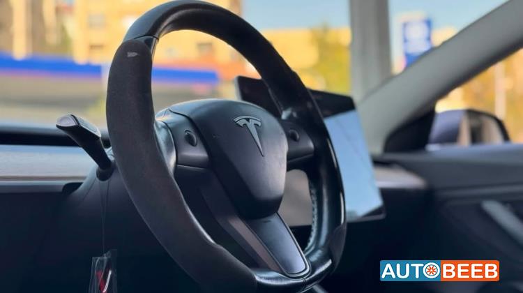 Tesla 3 2021