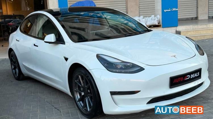 Tesla 3 2021