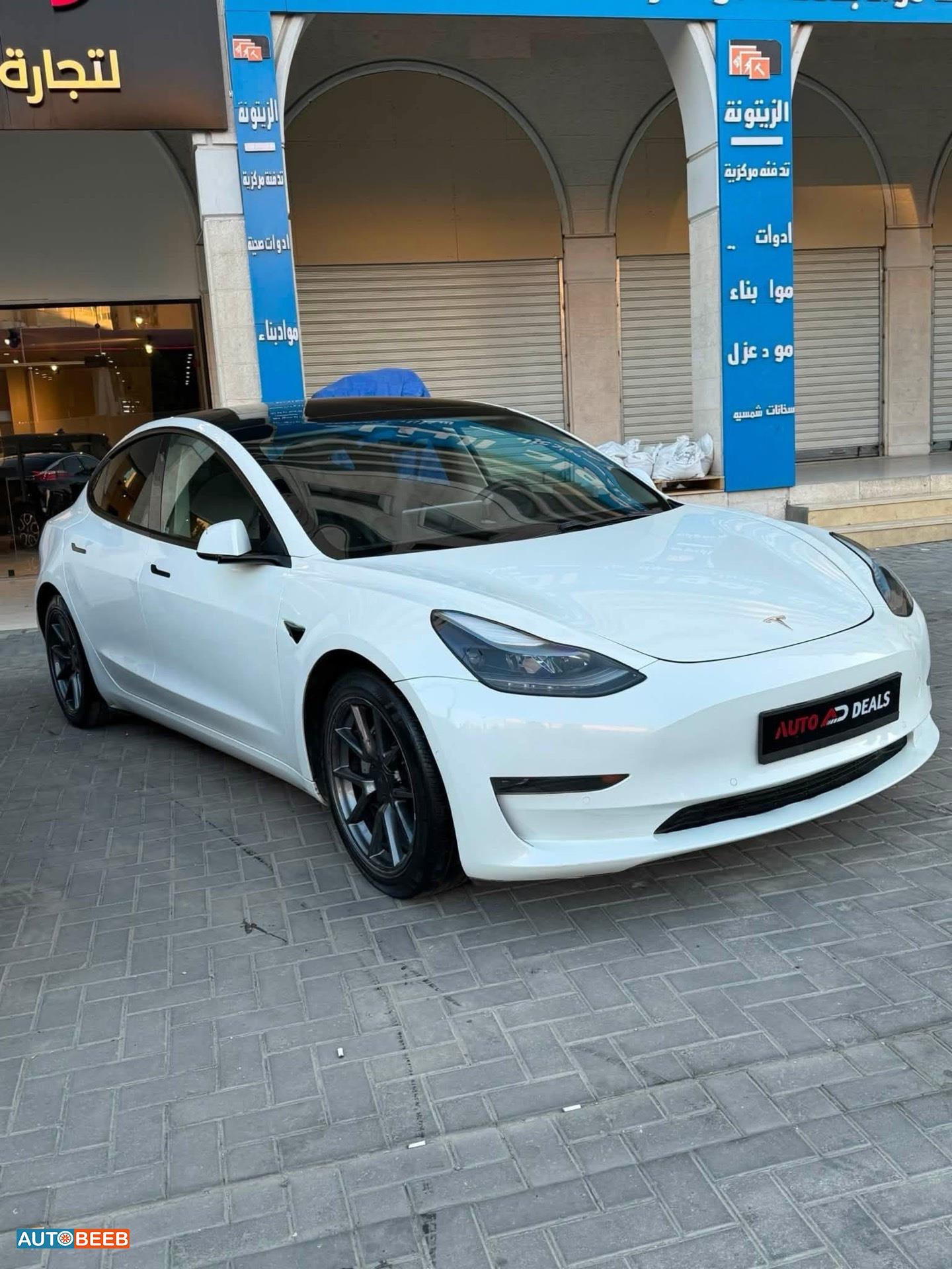 Tesla 3 2021