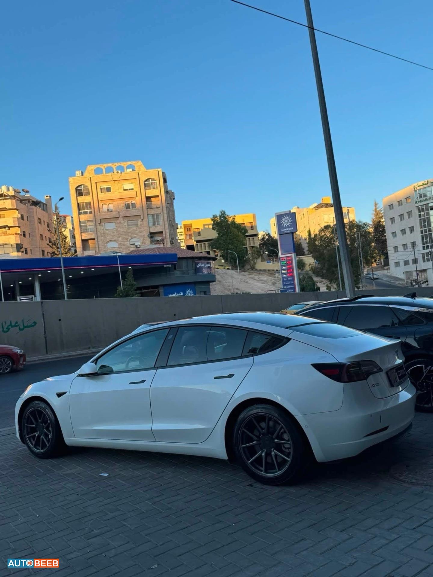Tesla 3 2021