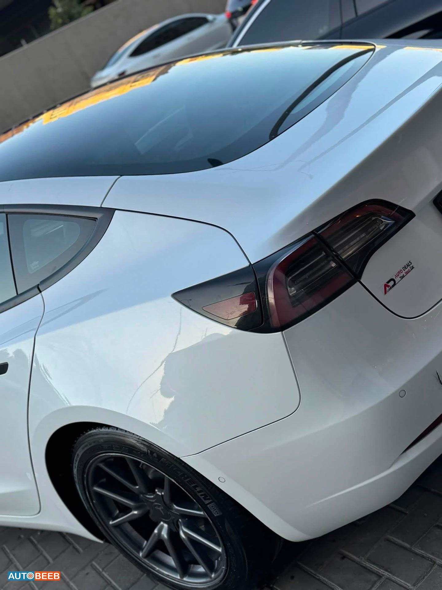 Tesla 3 2021