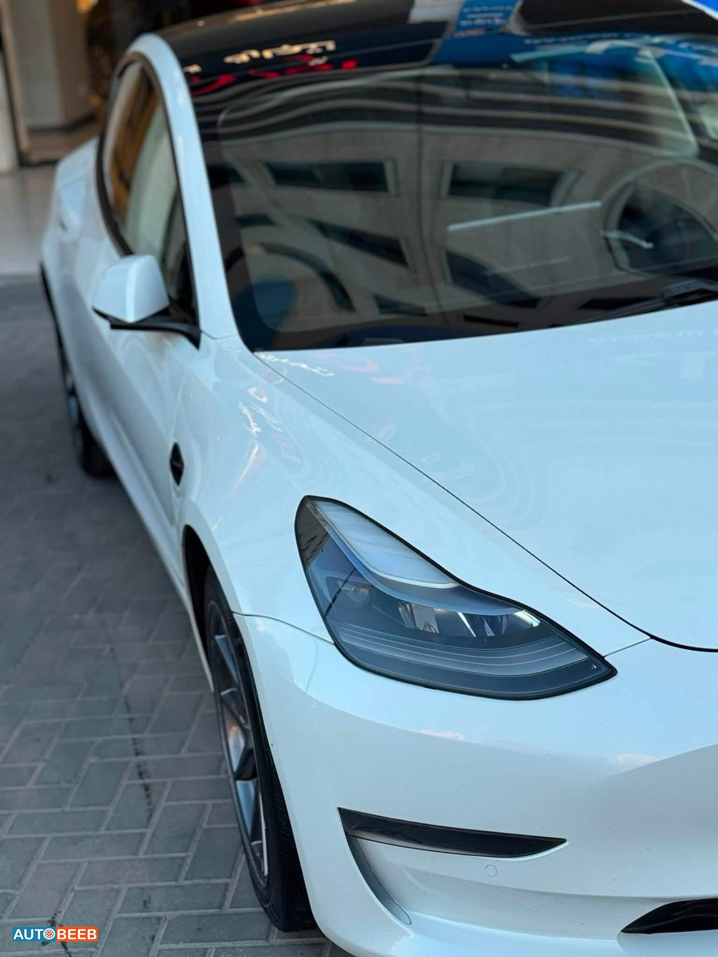 Tesla 3 2021