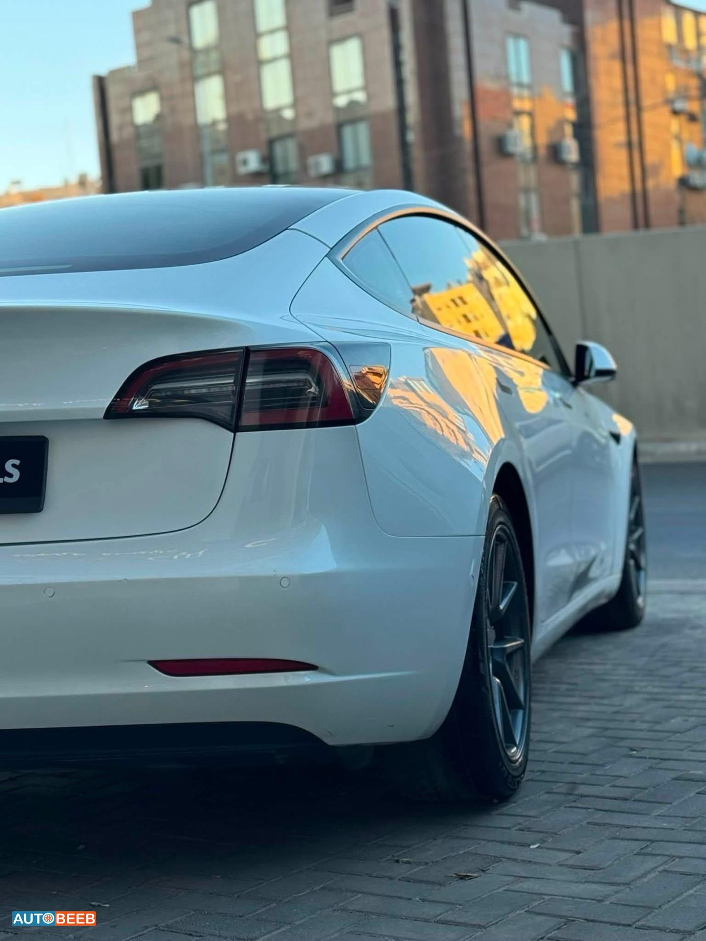 Tesla 3 2021