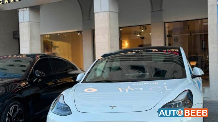 Tesla 3 2021