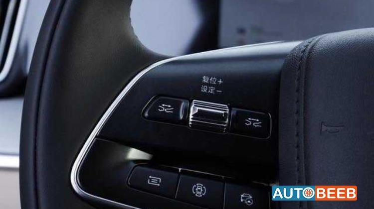 BYD Song L 2025