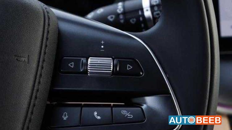 BYD Song L 2025