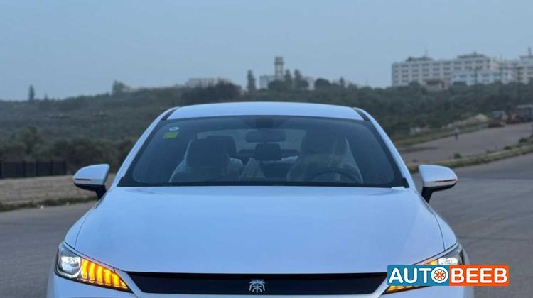 BYD Qin 2026