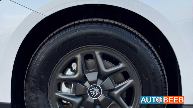 BYD Qin 2026