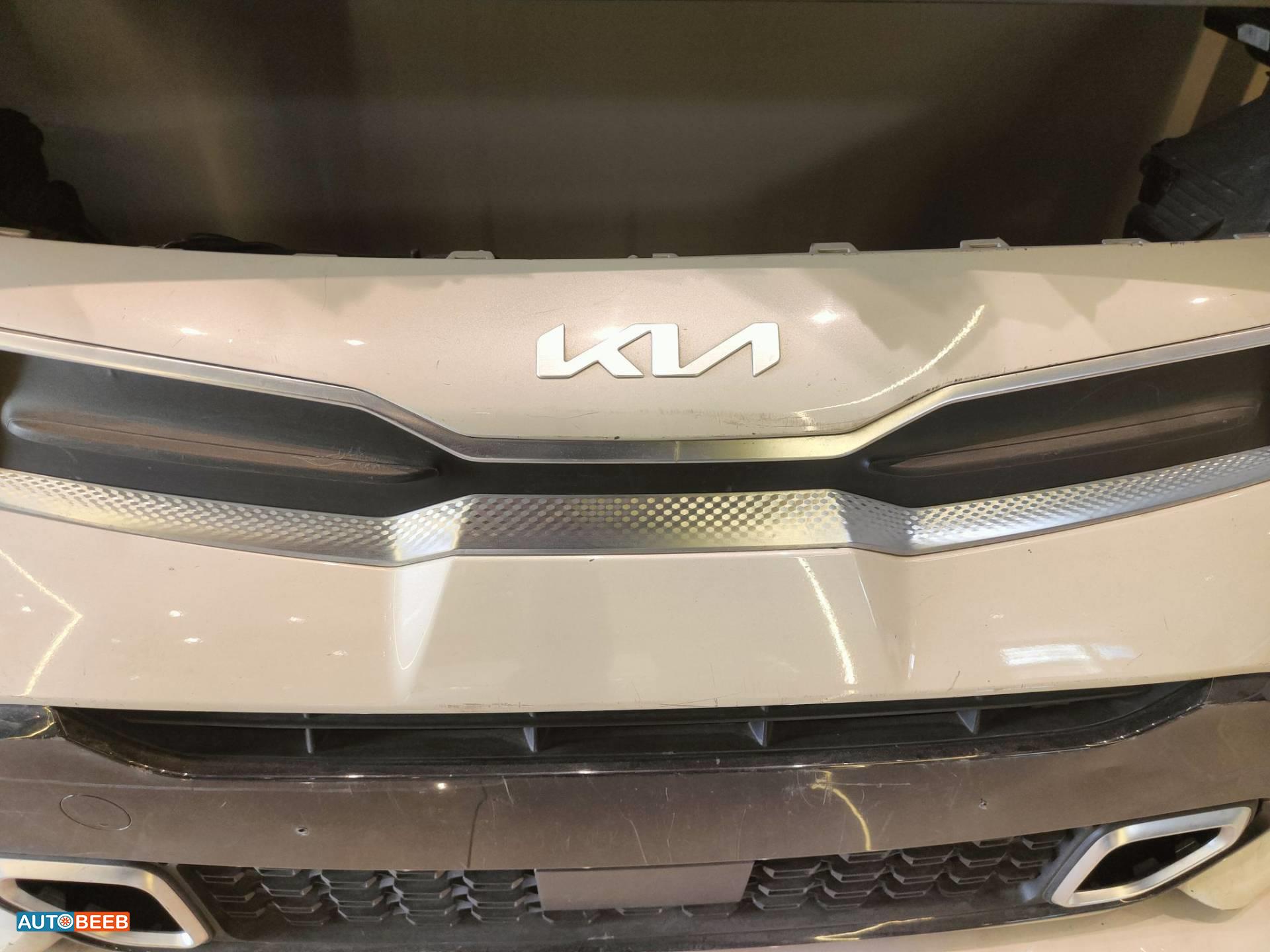 Body  Grilles KIA Picanto