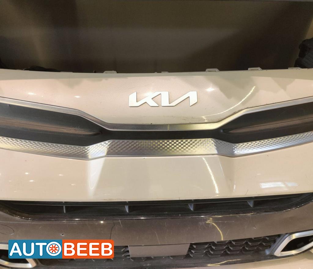 Body  Grilles KIA Picanto