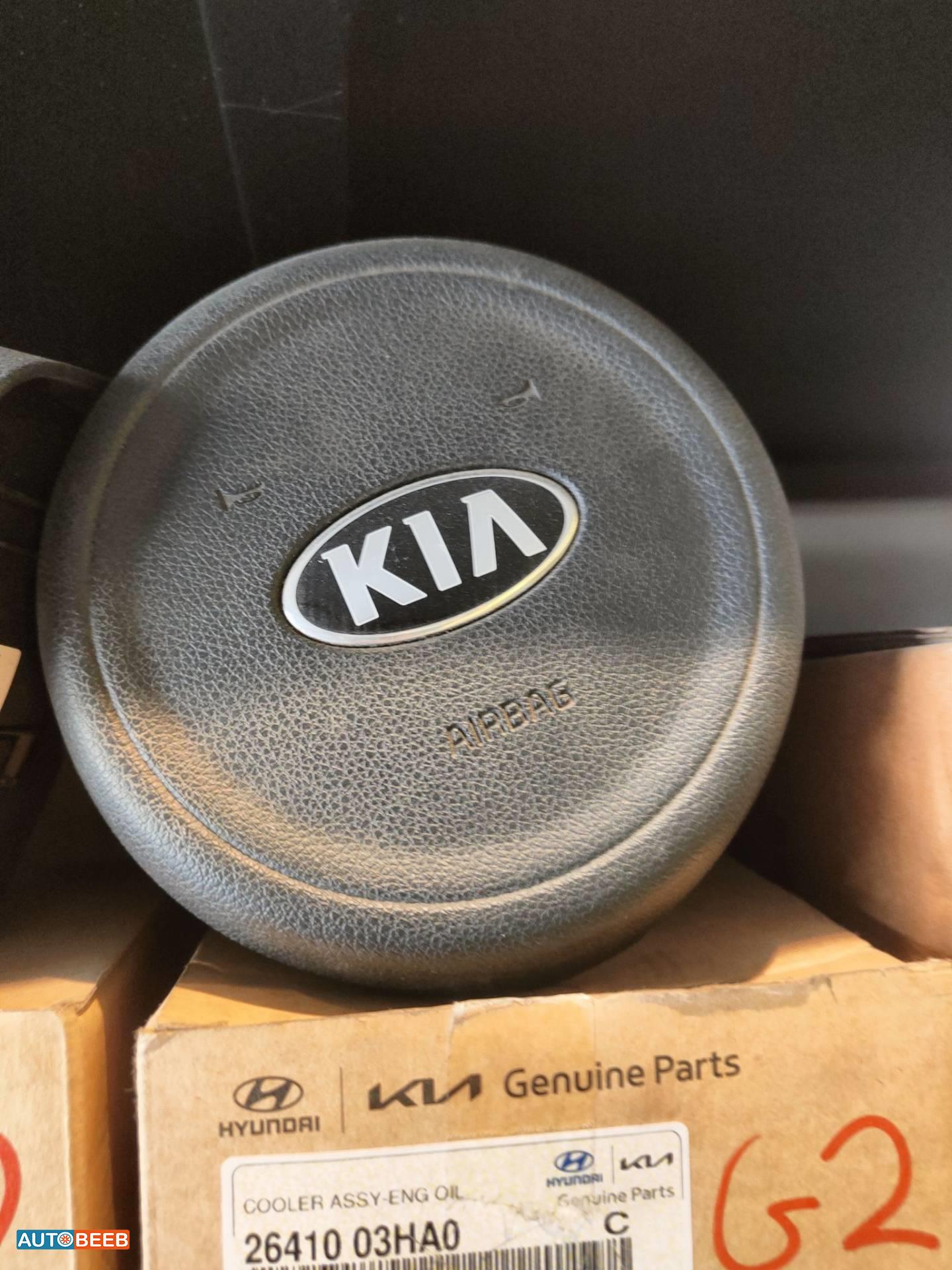 Cabin  Steering Wheel KIA Niro