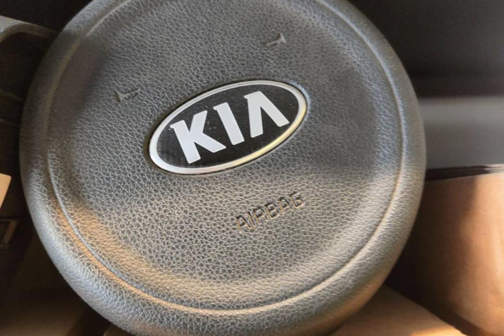 Cabin  Steering Wheel KIA Niro