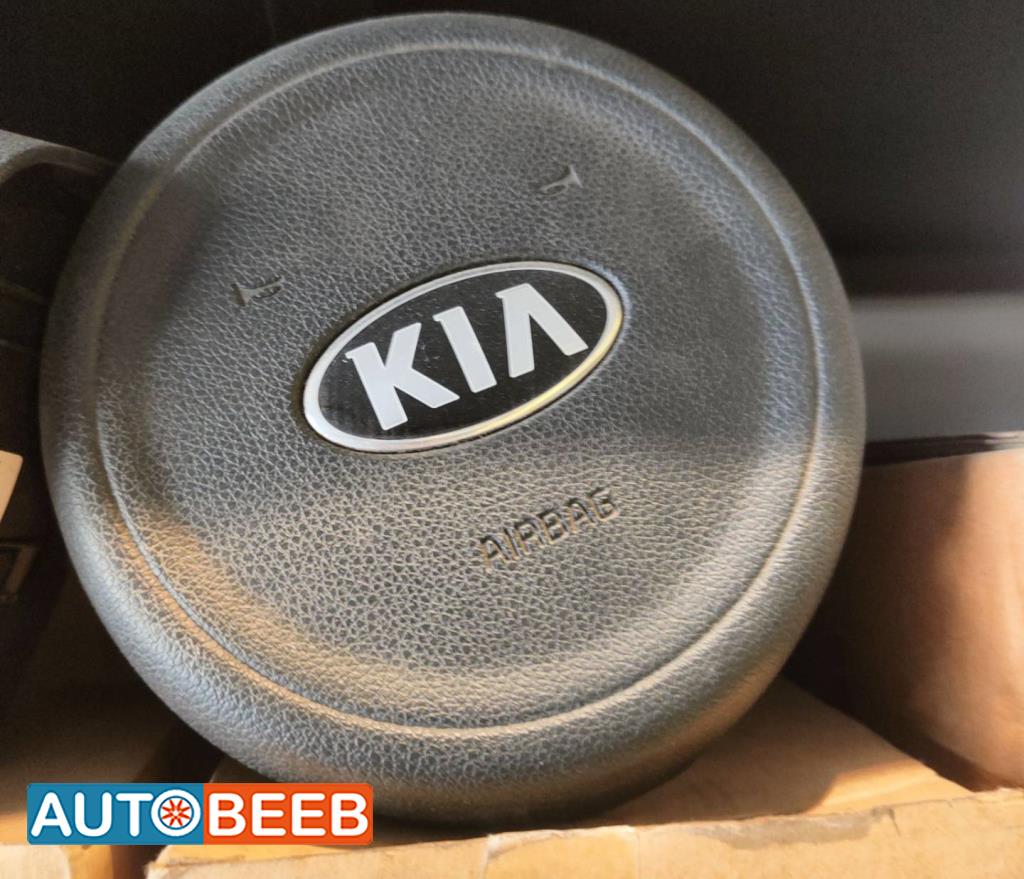 Cabin  Steering Wheel KIA Niro