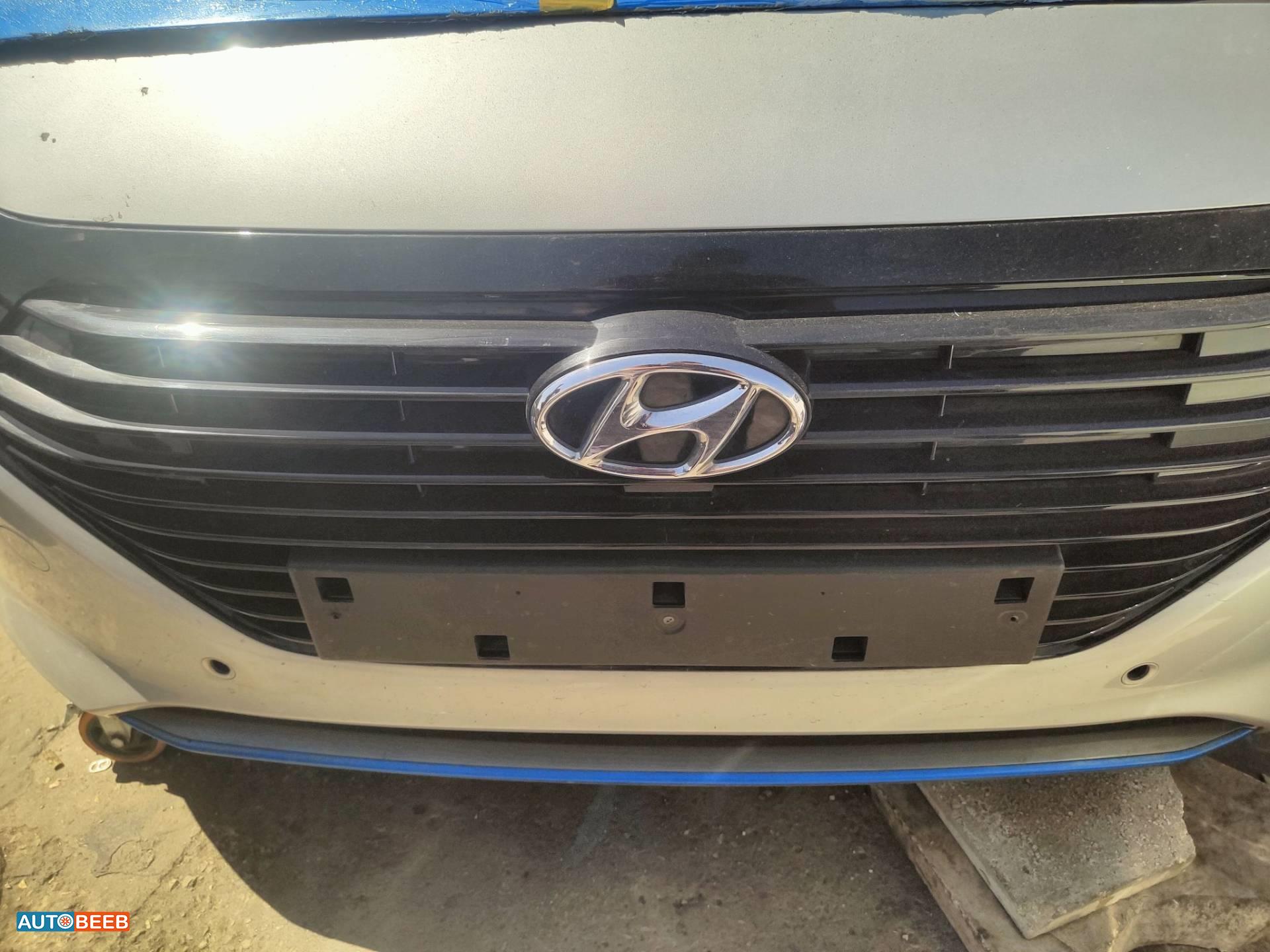 Body  Grilles Hyundai Ioniq