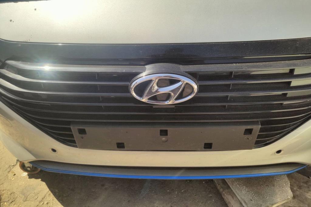 Body  Grilles Hyundai Ioniq