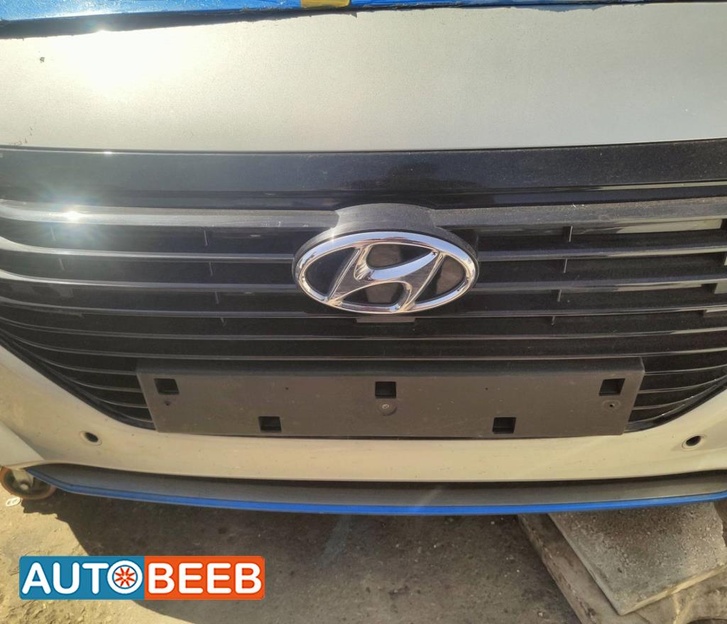 Body  Grilles Hyundai Ioniq