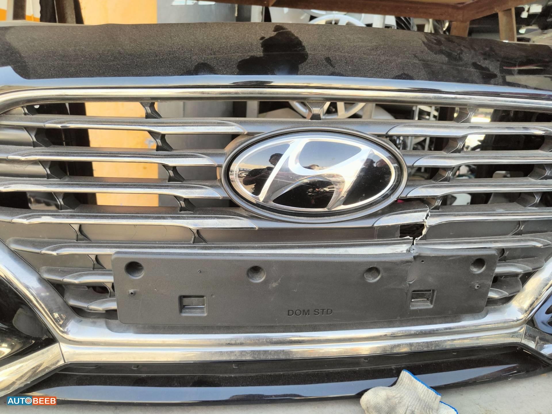 Body  Grilles Hyundai Sonata