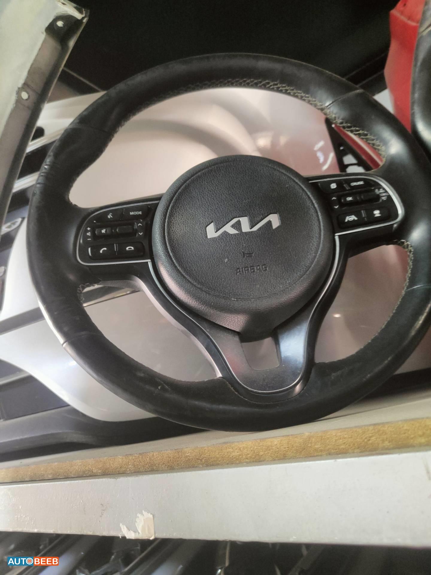 Cabin  Steering Wheel KIA Niro