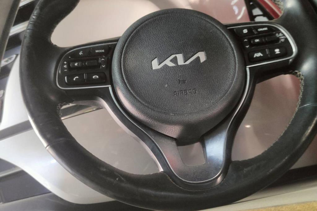 Cabin  Steering Wheel KIA Niro