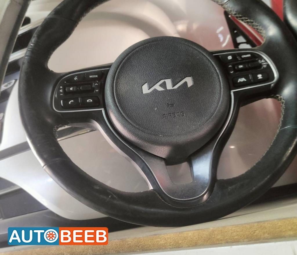 Cabin  Steering Wheel KIA Niro
