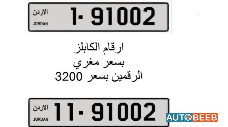 ‏1-91002