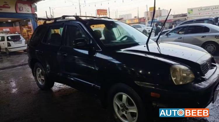 Hyundai Santa Fe 2002