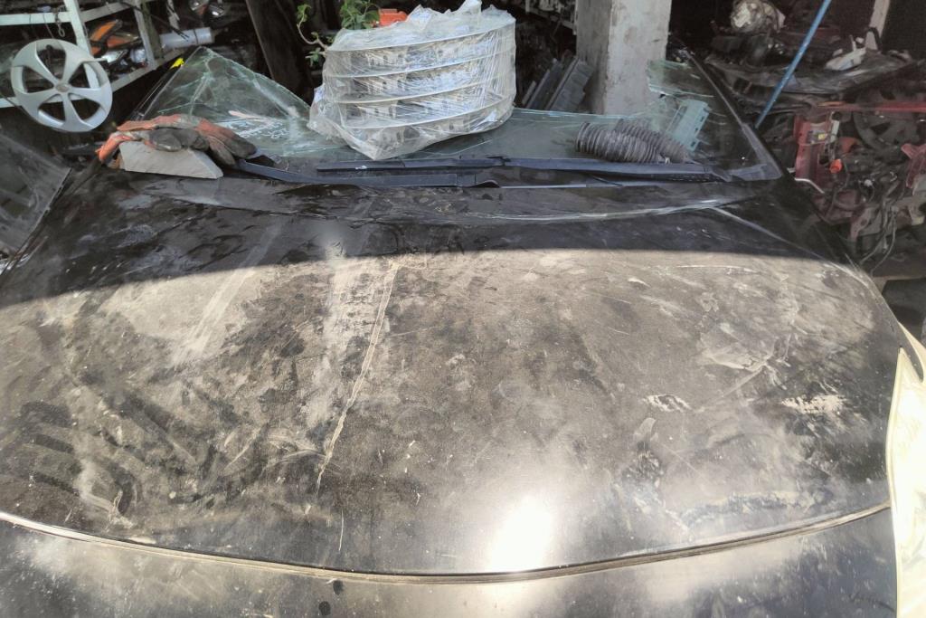 Body  Hood Toyota Prius