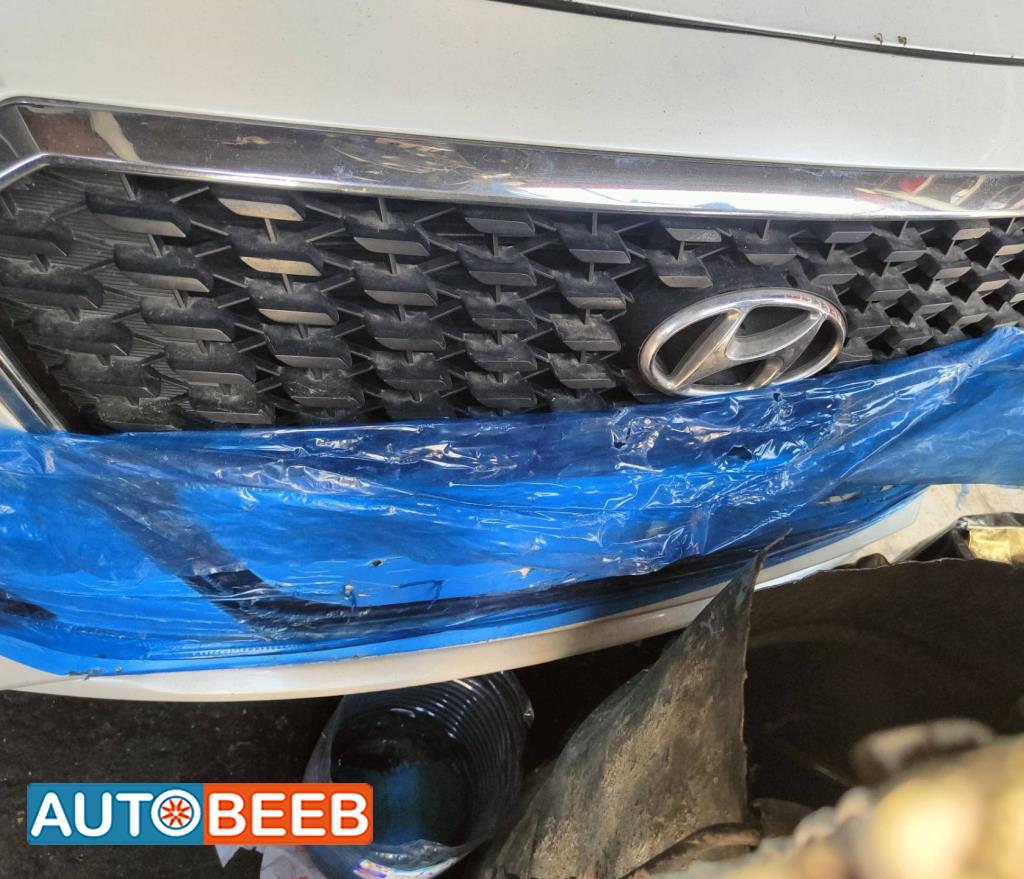 Body  Grilles Hyundai Sonata