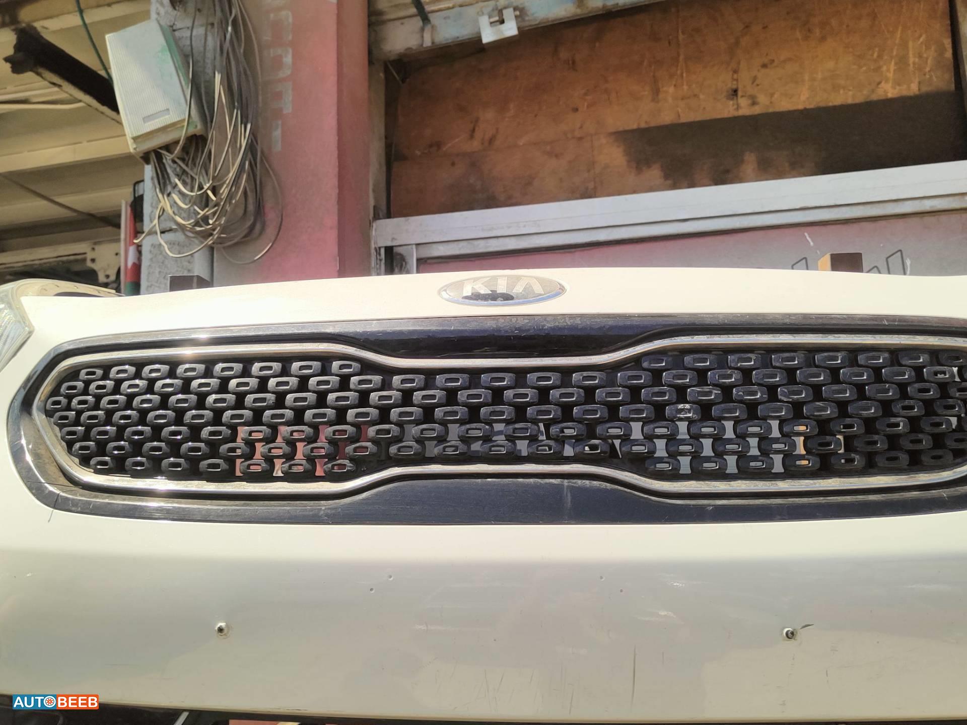 Body  Grilles KIA Niro