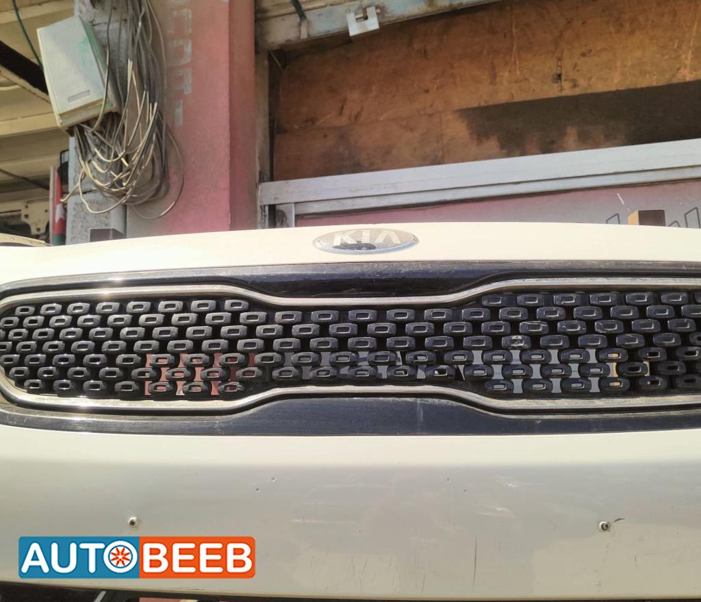 Body  Grilles KIA Niro