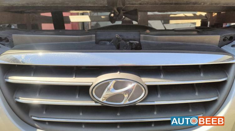 Body  Grilles Hyundai Avante