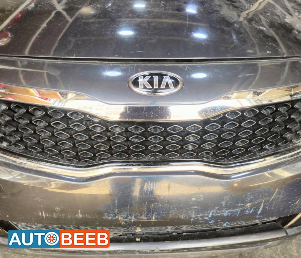 Body  Grilles KIA Optima