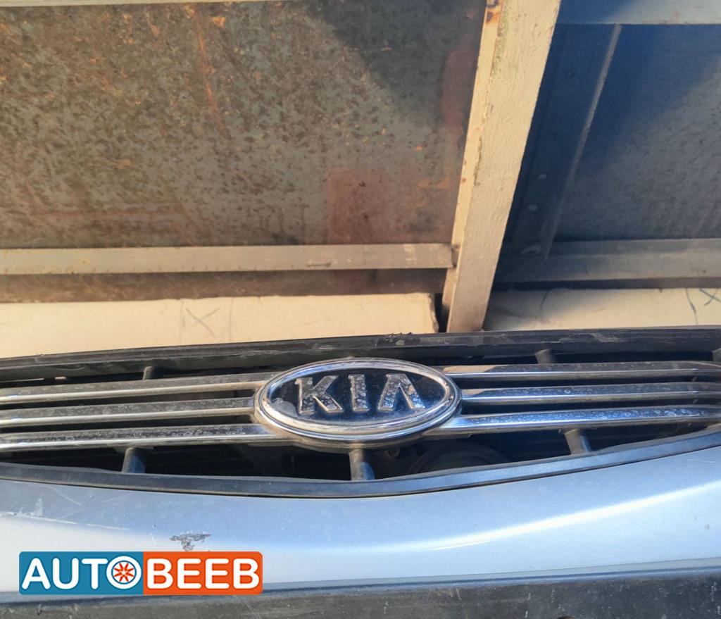 Body  Grilles KIA Rio