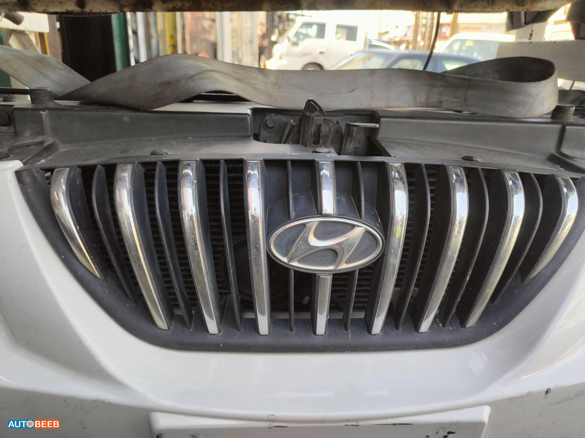 Body  Grilles Hyundai Avante
