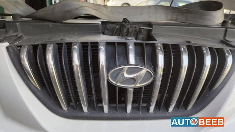 Body  Grilles Hyundai Avante