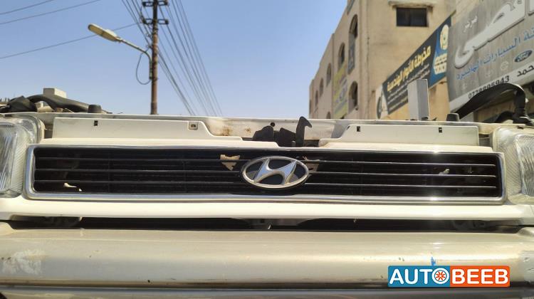 Body  Grilles Hyundai Santamo