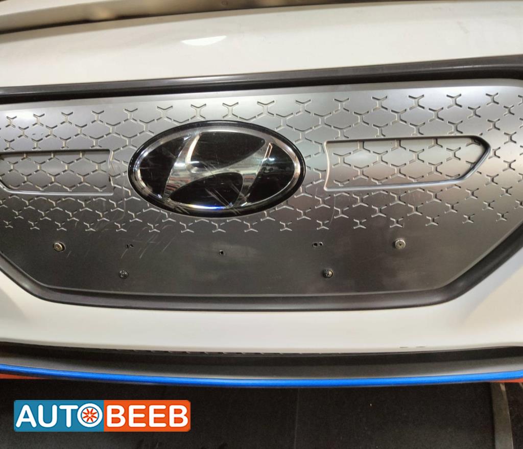 Body  Grilles Hyundai Ioniq
