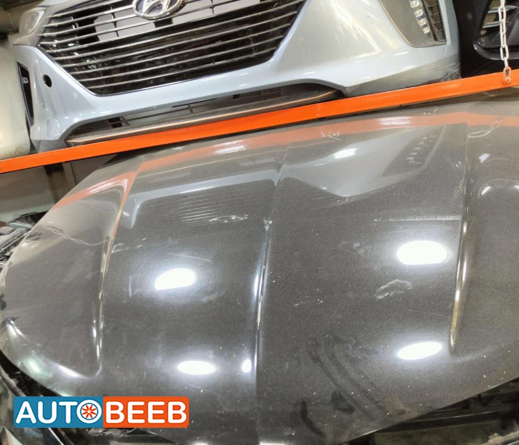Body  Hood Lincoln MKZ