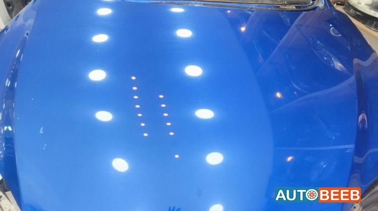Body  Hood Lexus NX300