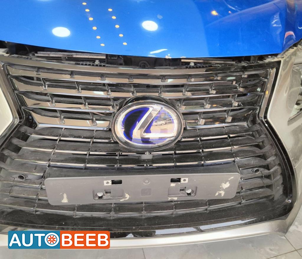 Body  Grilles Lexus NX300