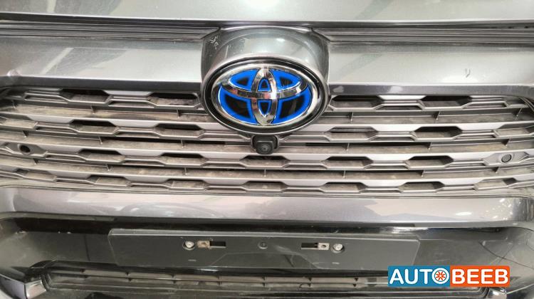 Body  Grilles Toyota RAV4