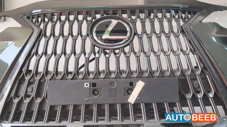 Body  Grilles Lexus NX300