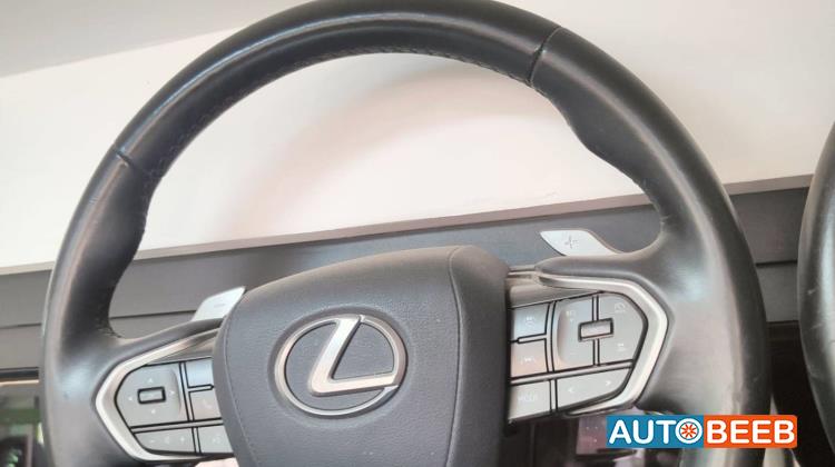 Cabin  Steering Wheel Lexus NX300