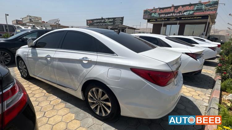 Hyundai Sonata 2013