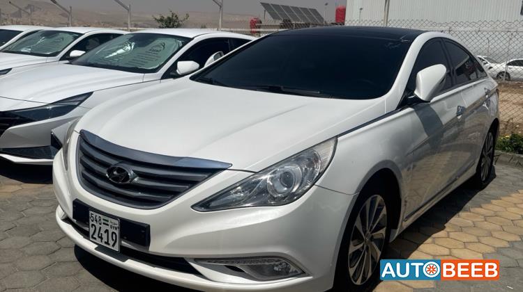 Hyundai Sonata 2013