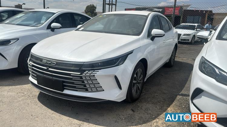 BYD Destroyer 05 2025
