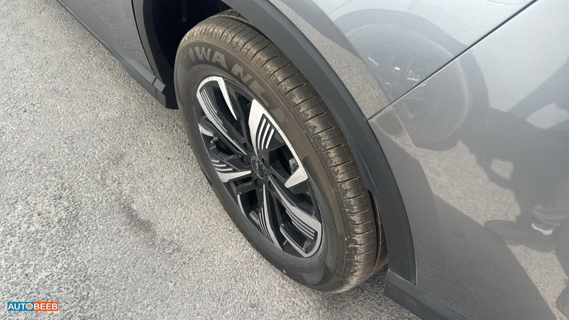 BYD Sealion 2025